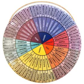 Feelings Chart Color Wheel Poster Mood Meter Poster for Self Awareness Feelings Wheel Chart Poster Metal Tin Sign Therapist Emotions Poster Vintage Tr