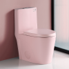1.1/1.60 GPF Dual-Flush One Piece Toilet, Water-Saving Elongated Comfort Height Floor Mounted, Soft Close 1000 Gram Map Flushing Score Toilet