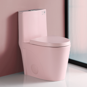 1.1/1.60 GPF Dual-Flush One Piece Toilet, Water-Saving Elongated Comfort Height Floor Mounted, Soft Close 1000 Gram Map Flushing Score Toilet