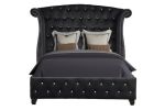 Sophia Queen 5 Pc Vanity Upholstery Bedroom Set Made With Wood in Black