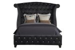 Sophia Queen 5 Pc Upholstery Bedroom Set Made With Wood in Black