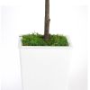 Artificial Olive Tree 7FT with Pot and Moss, Artificial Plants for Home Office Decor