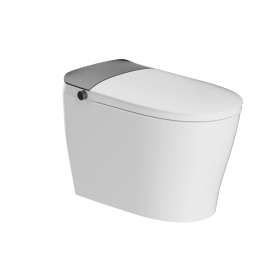 Smart Toilet with Tank Built In, One Piece Bidet Toilet, Instant Warm Water, Heated Seat, Foam Shield, Sensor to Open/Close/Flush, ADA Height (Systm: D07-Pro)